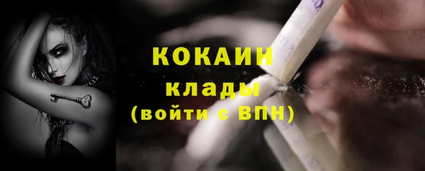 Альфа ПВП Пересвет