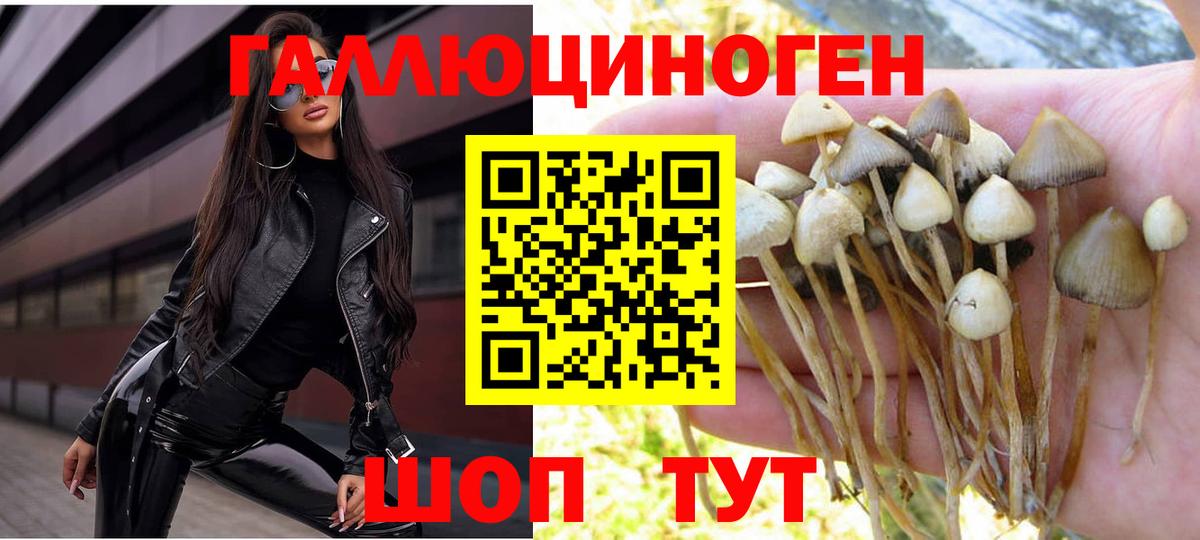 Заринск  где купить   Вход с VPN  Псилоцибиновые грибы мухоморы 